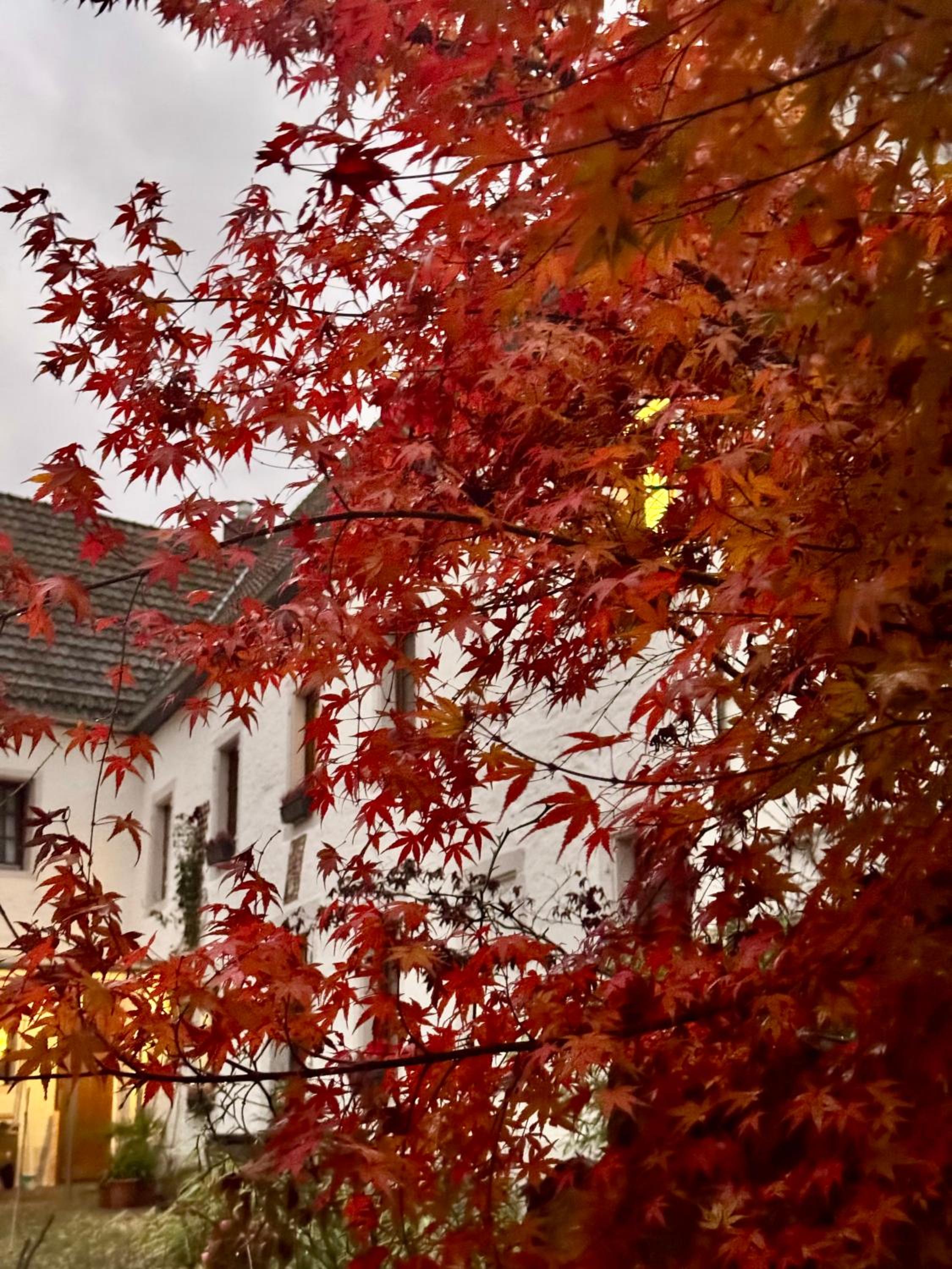 Ferienwohnung Burg Hausen