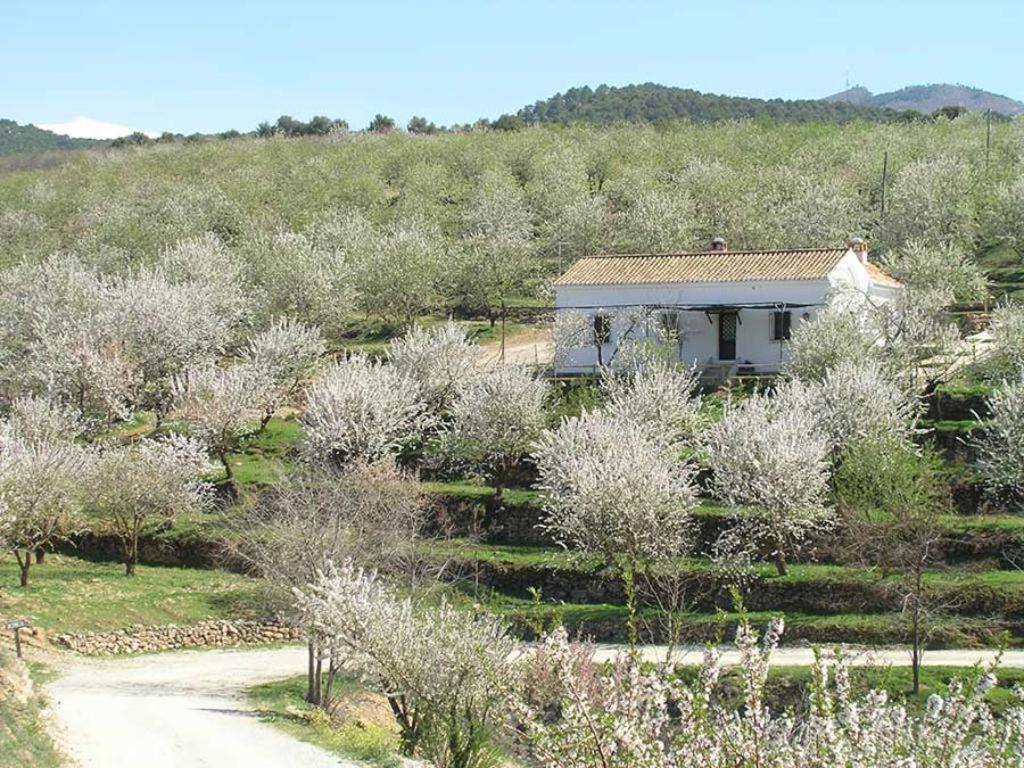 Apartamento La Cuadra