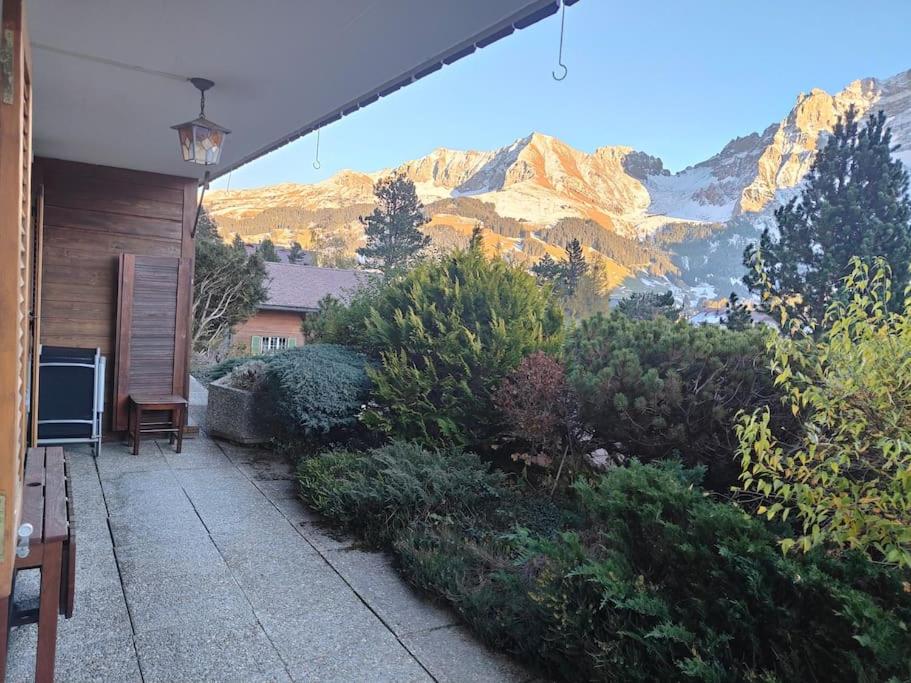 Skirennen von der Terrasse mitverfolgen