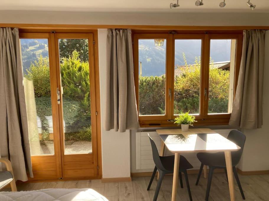 Skirennen von der Terrasse mitverfolgen