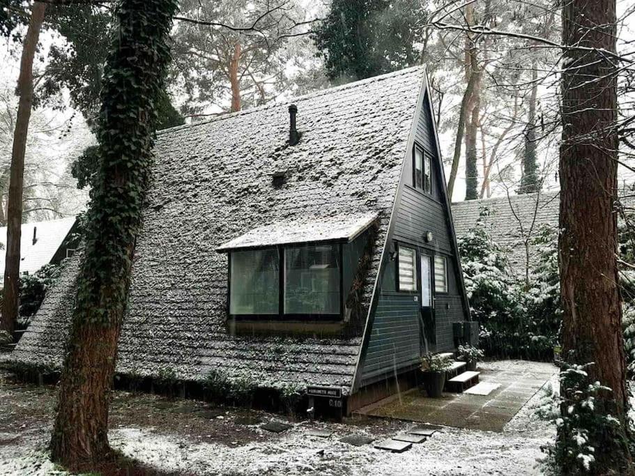 Cozy warm chalet in wooden nature near Maastricht-Gothamette House
