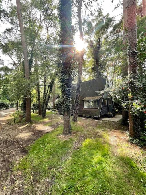 Cozy warm chalet in wooden nature near Maastricht-Gothamette House
