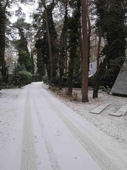 Cozy warm chalet in wooden nature near Maastricht-Gothamette House
