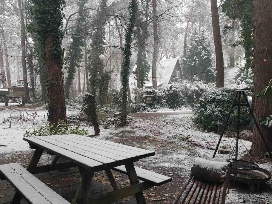 Cozy warm chalet in wooden nature near Maastricht-Gothamette House