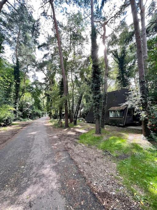 Cozy warm chalet in wooden nature near Maastricht-Gothamette House