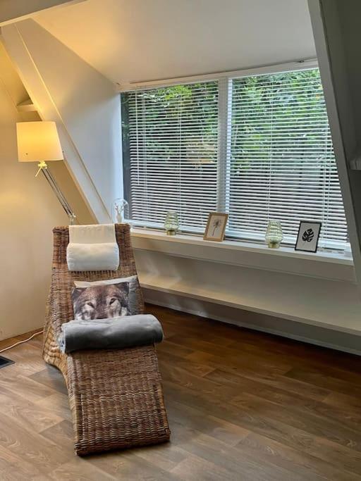 Cozy warm chalet in wooden nature near Maastricht-Gothamette House