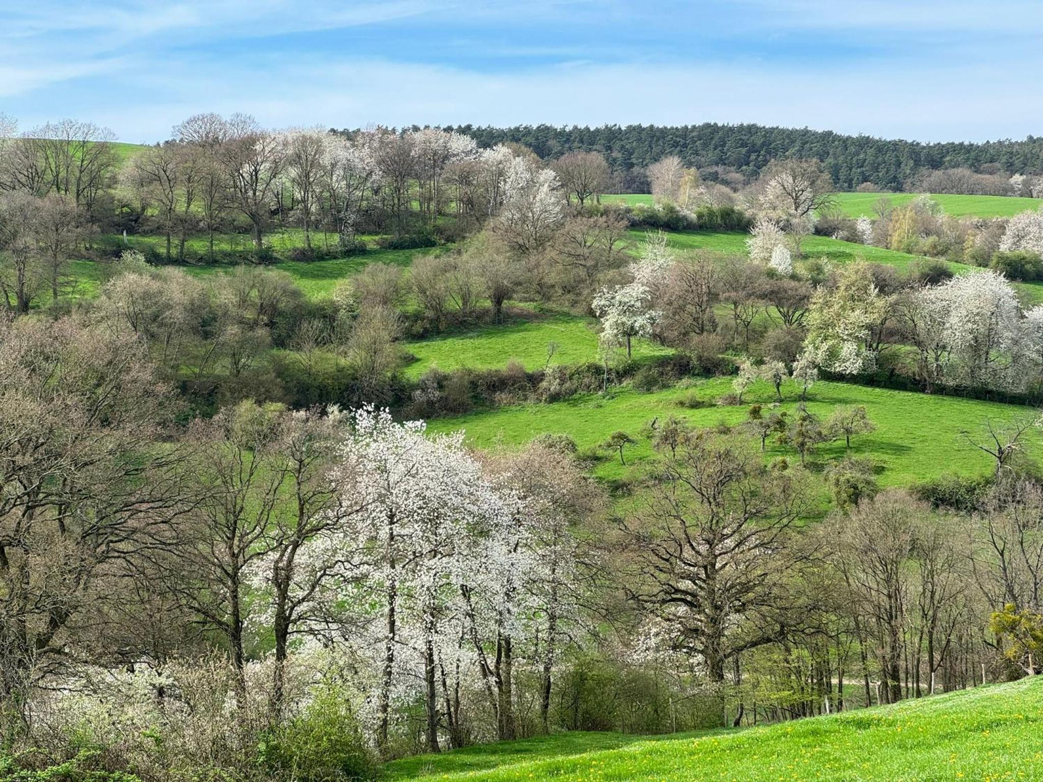 Ferienwohnung Burg Hausen