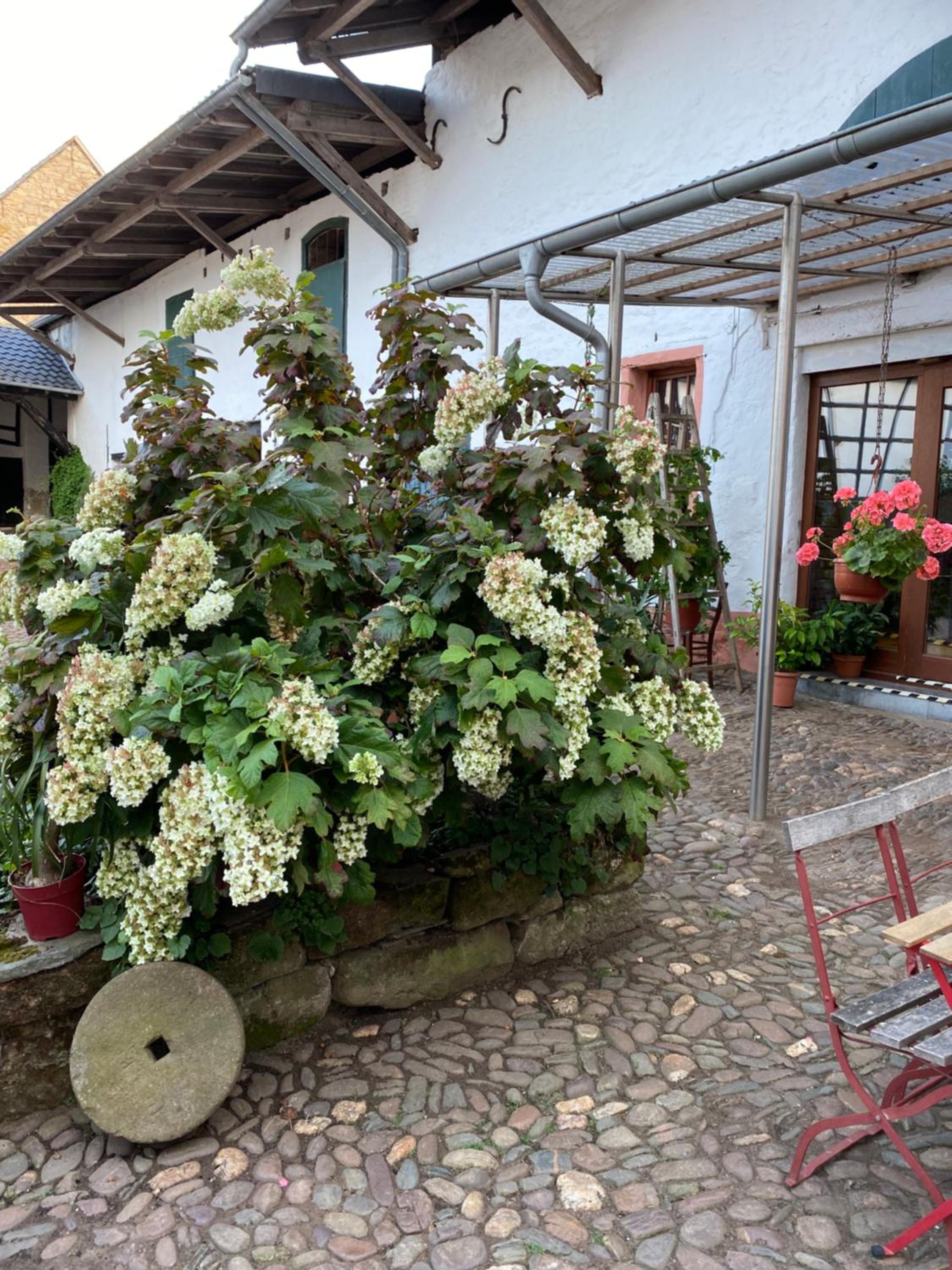 Ferienwohnung Burg Hausen
