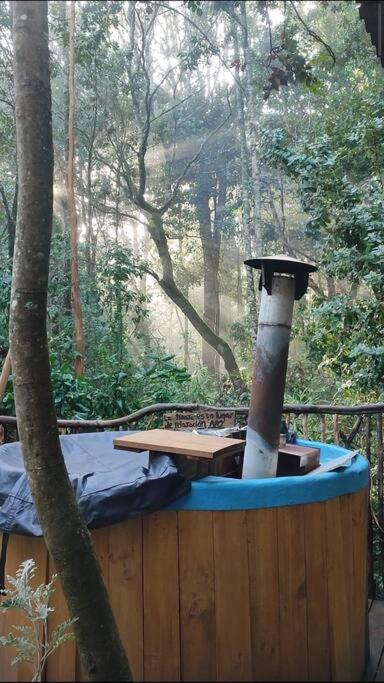 Domo el avellano inmerso en el bosque con tinaja incluida