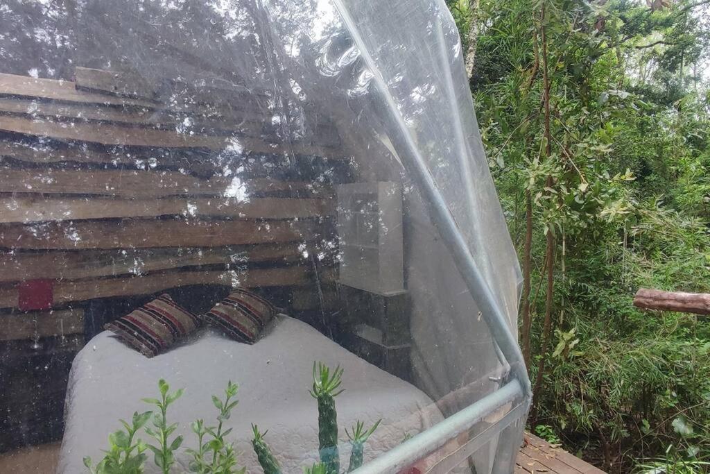 Domo el avellano inmerso en el bosque con tinaja incluida