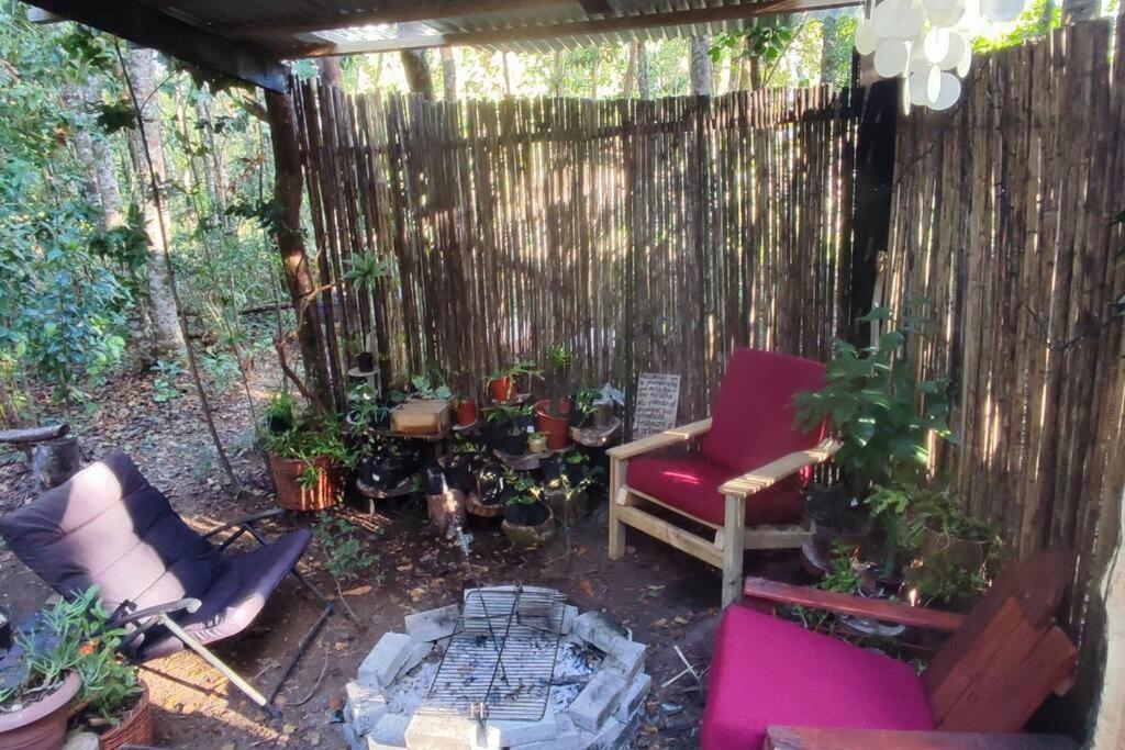 Domo el avellano inmerso en el bosque con tinaja incluida