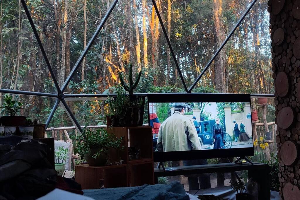 Domo el avellano inmerso en el bosque con tinaja incluida