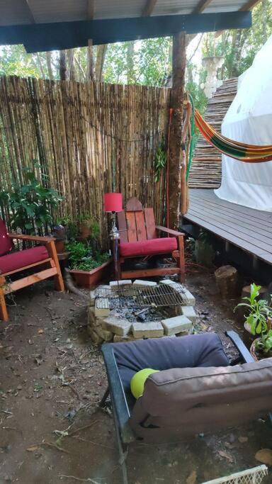 Domo el avellano inmerso en el bosque con tinaja incluida