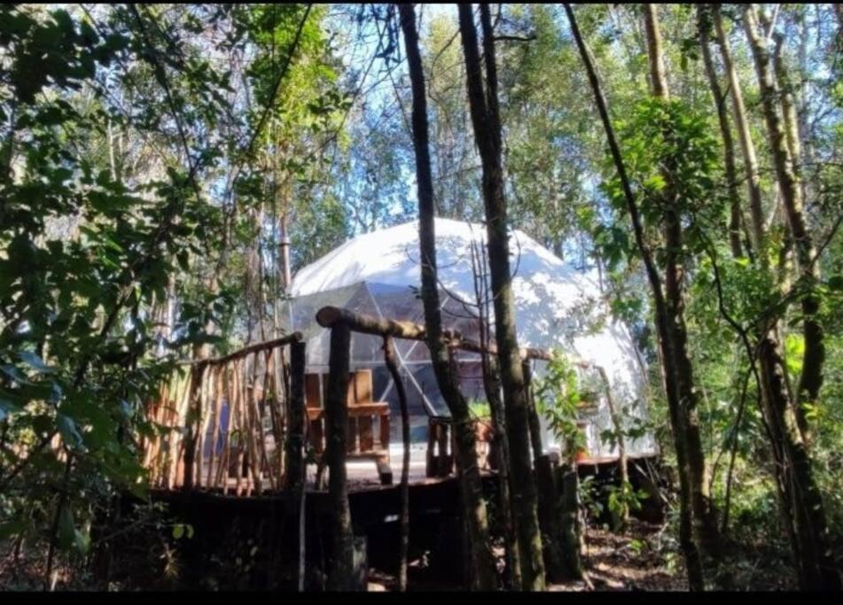 Domo el avellano inmerso en el bosque con tinaja incluida