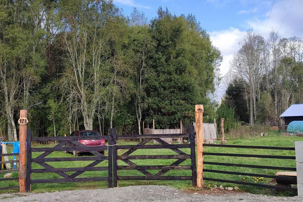 Domo el avellano inmerso en el bosque con tinaja incluida