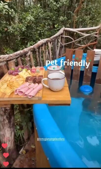 Domo el avellano inmerso en el bosque con tinaja incluida