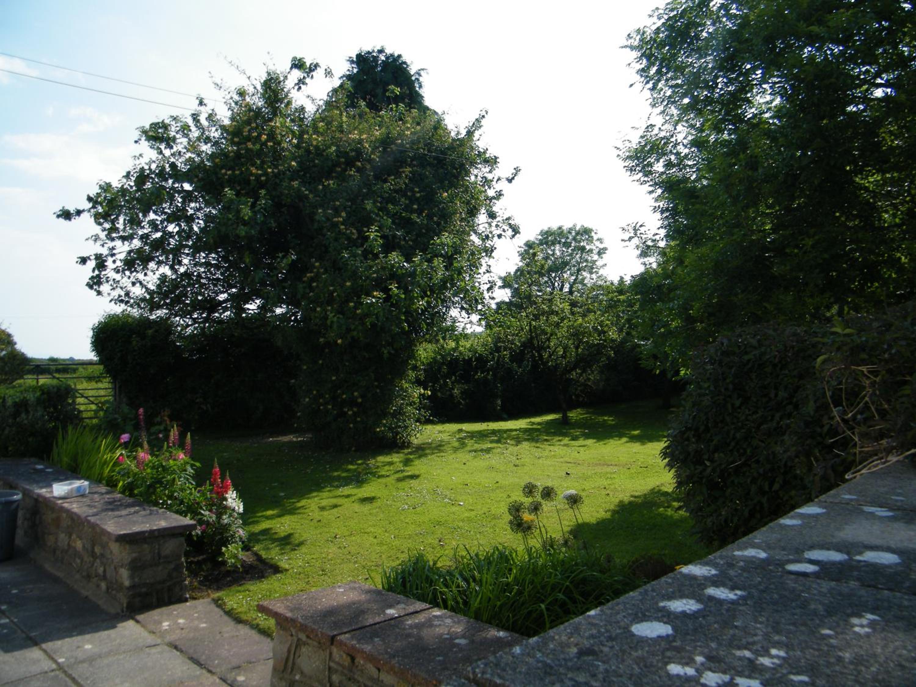 Photo 49