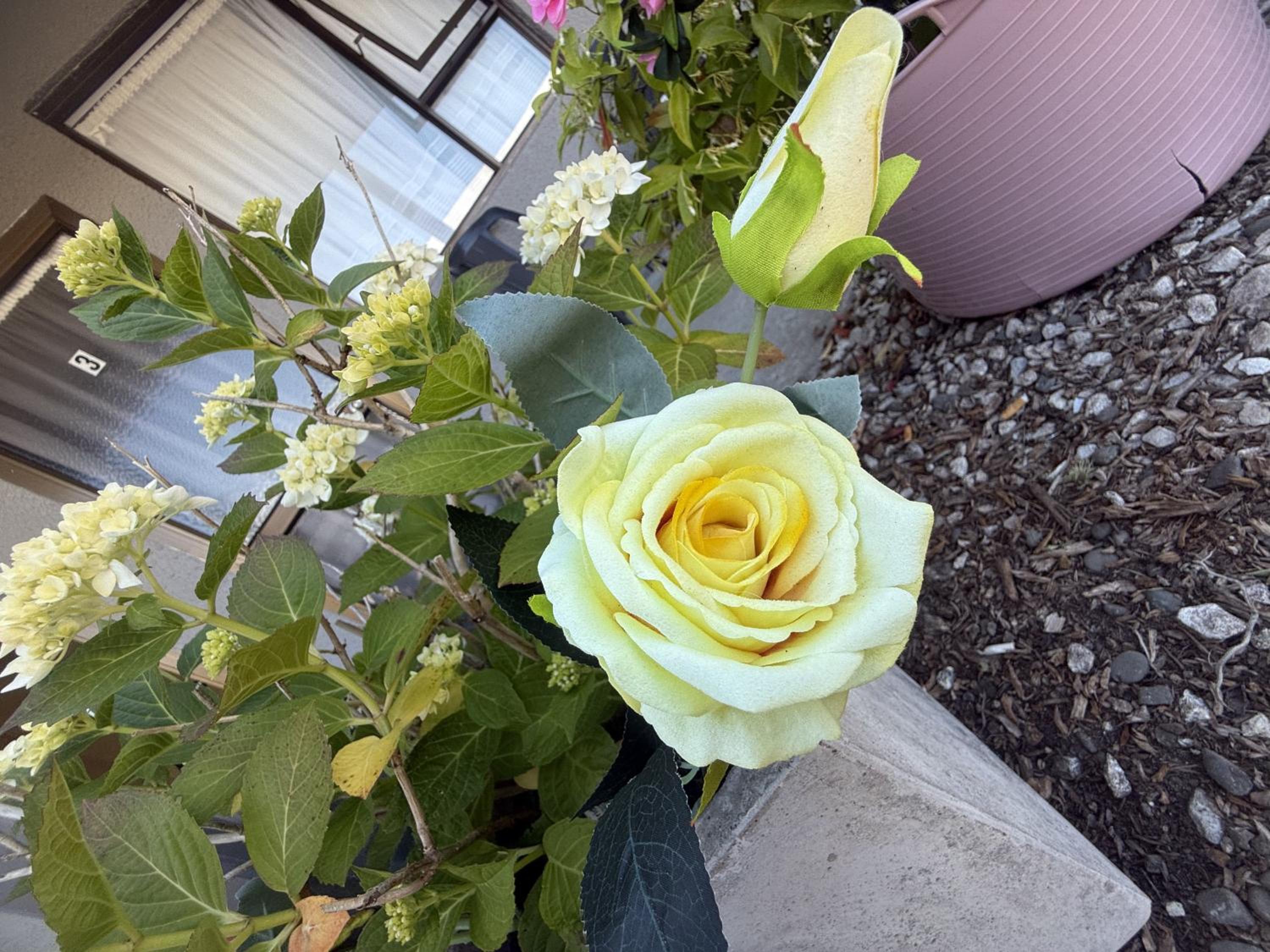 Photo 33
