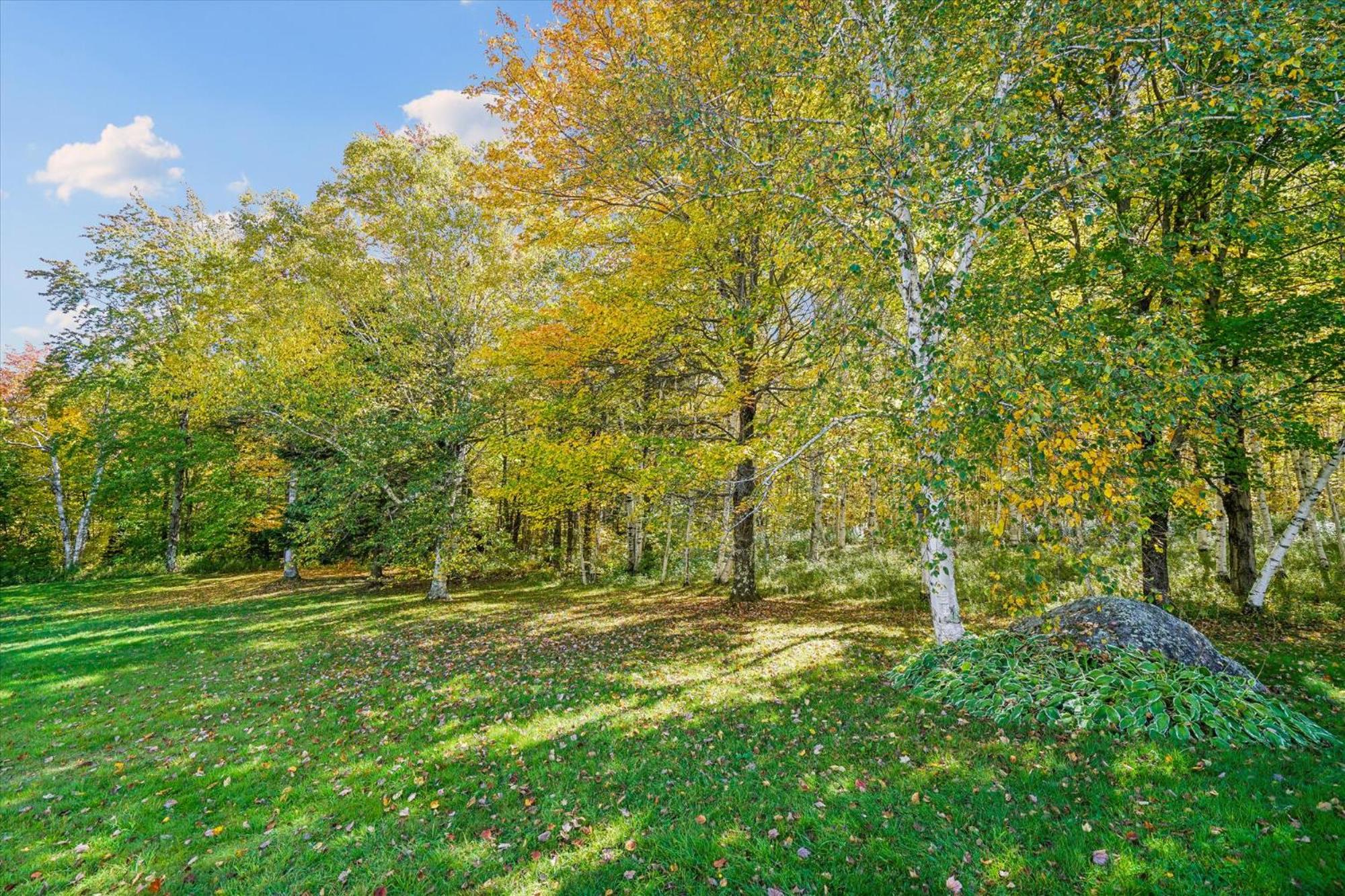 Stunning 4-Bed, 4-Bath Apartment Pet-Friendly Roaring Brook view 4