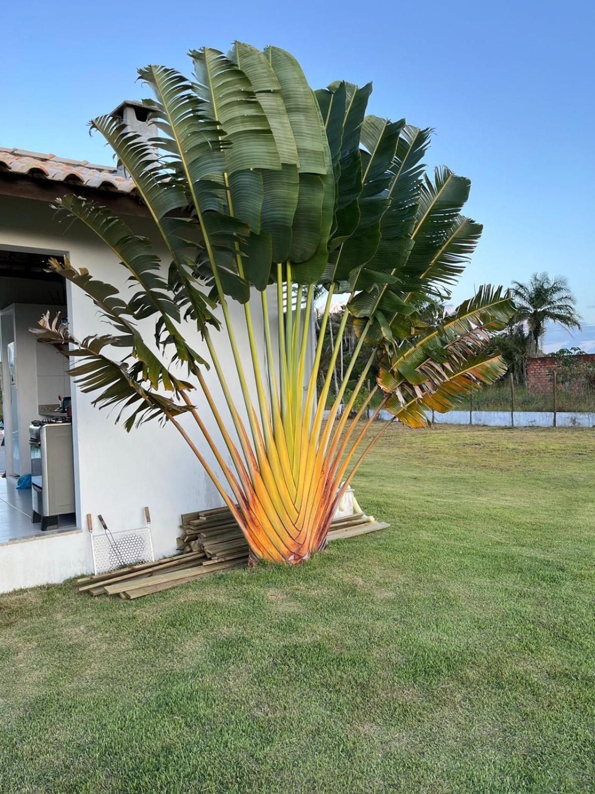 CASA com PISCINA e PRÓXIMA à PRAIA das PISCINAS NATURAIS - TAIPU DE FORA