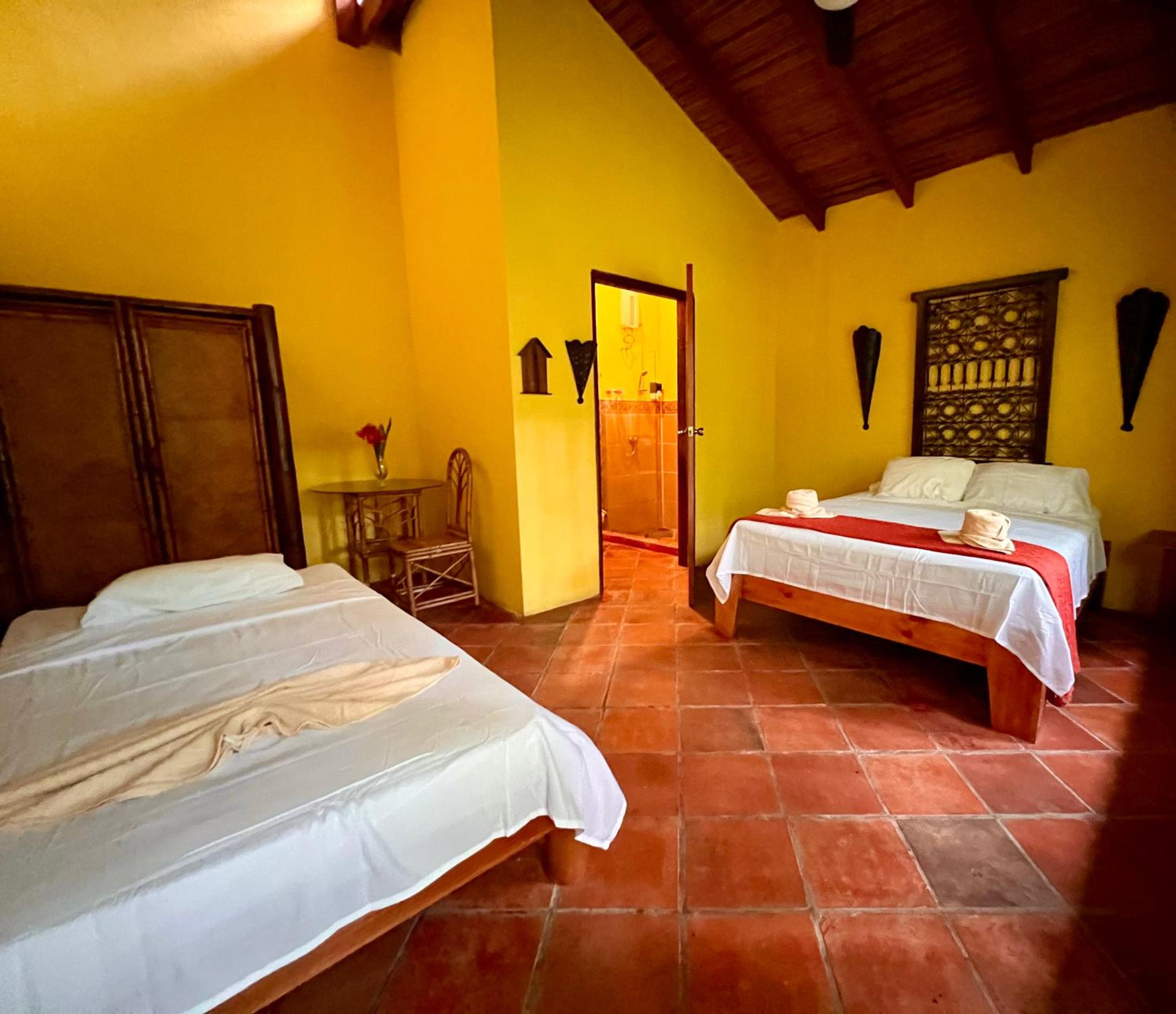 Eco Zaru, Experience Authentic Costa Rican Jungle & Ocean Bliss