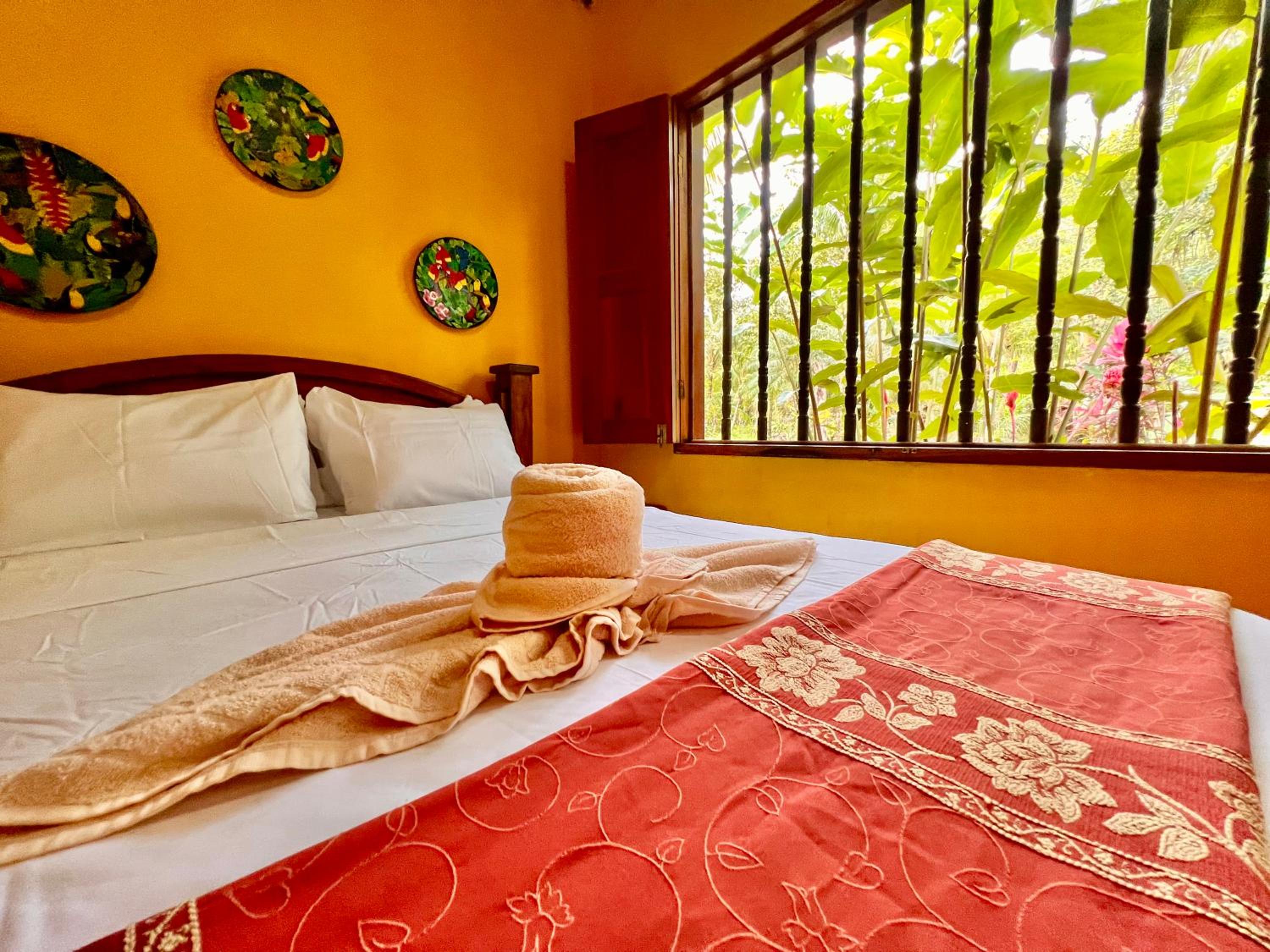 Eco Zaru, Experience Authentic Costa Rican Jungle & Ocean Bliss