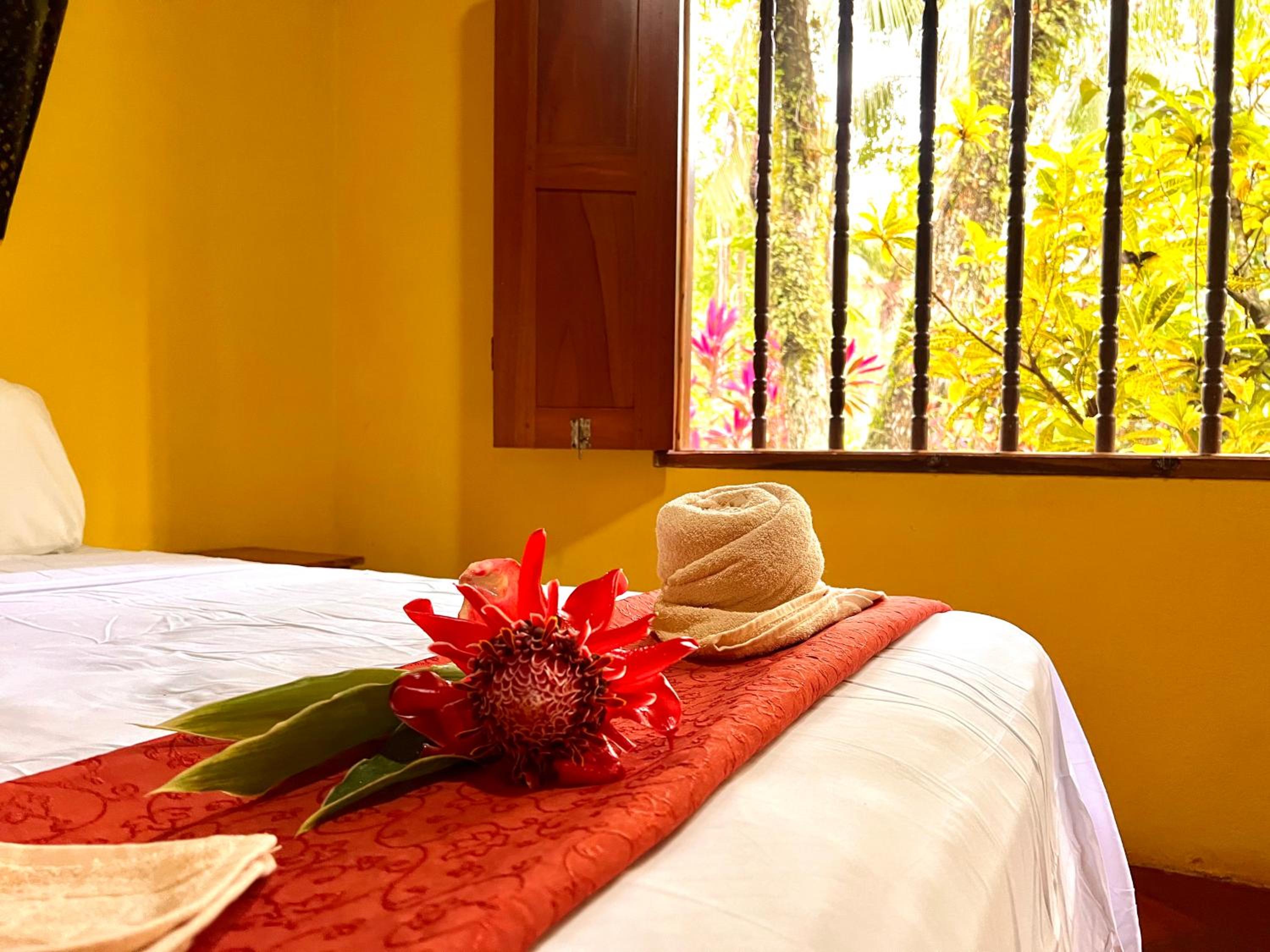 Eco Zaru, Experience Authentic Costa Rican Jungle & Ocean Bliss