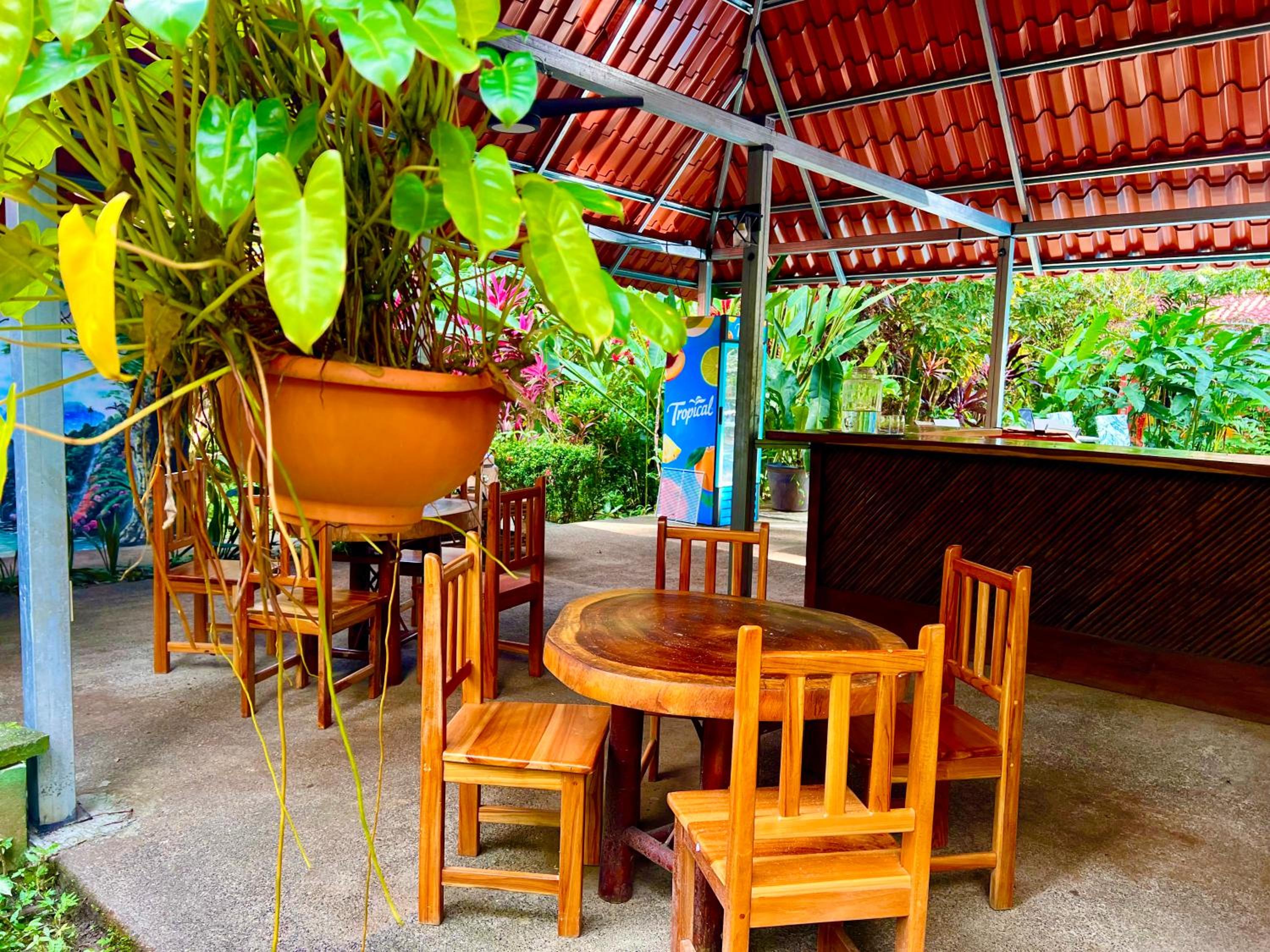 Eco Zaru, Experience Authentic Costa Rican Jungle & Ocean Bliss