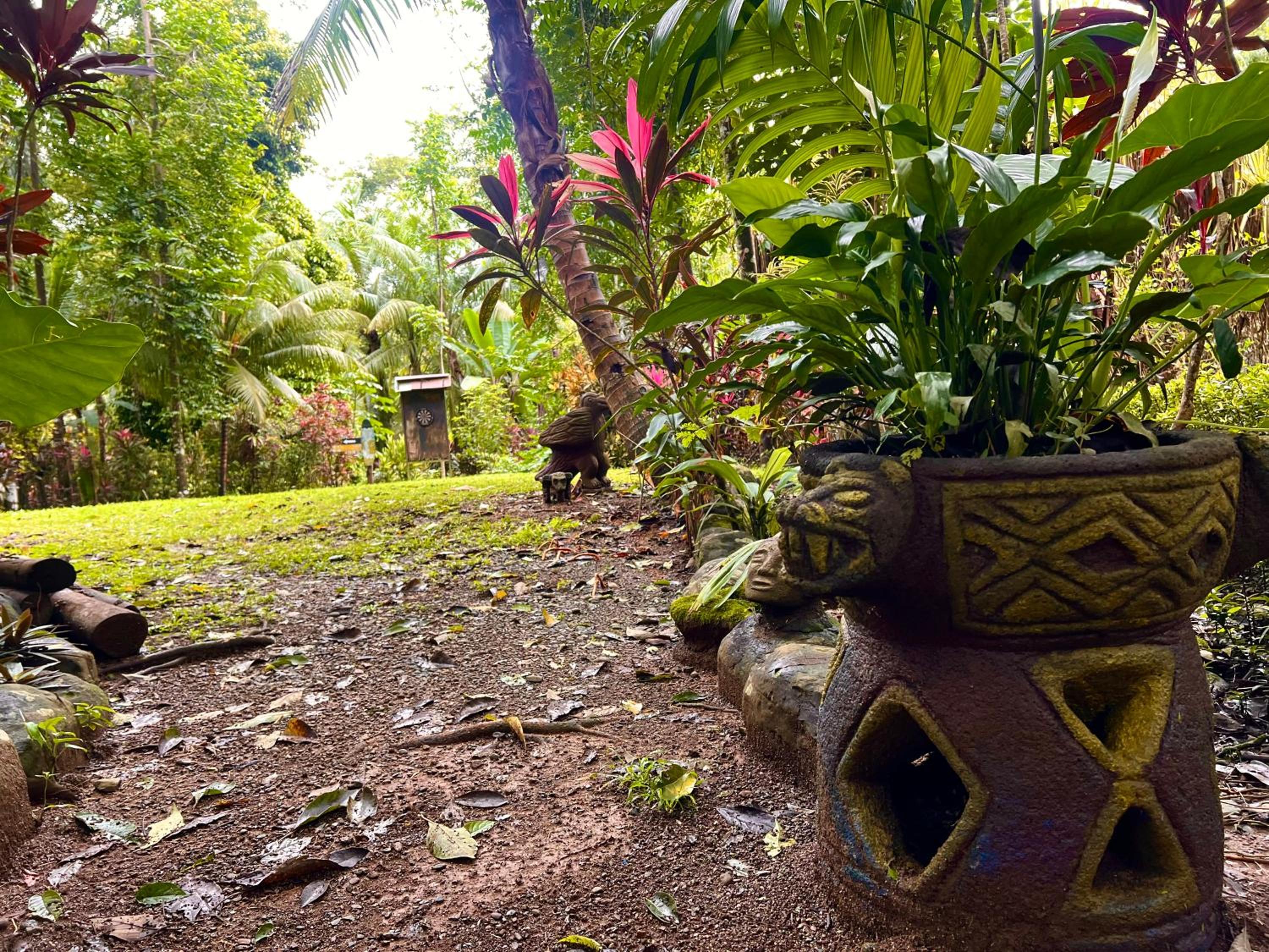 Eco Zaru, Experience Authentic Costa Rican Jungle & Ocean Bliss