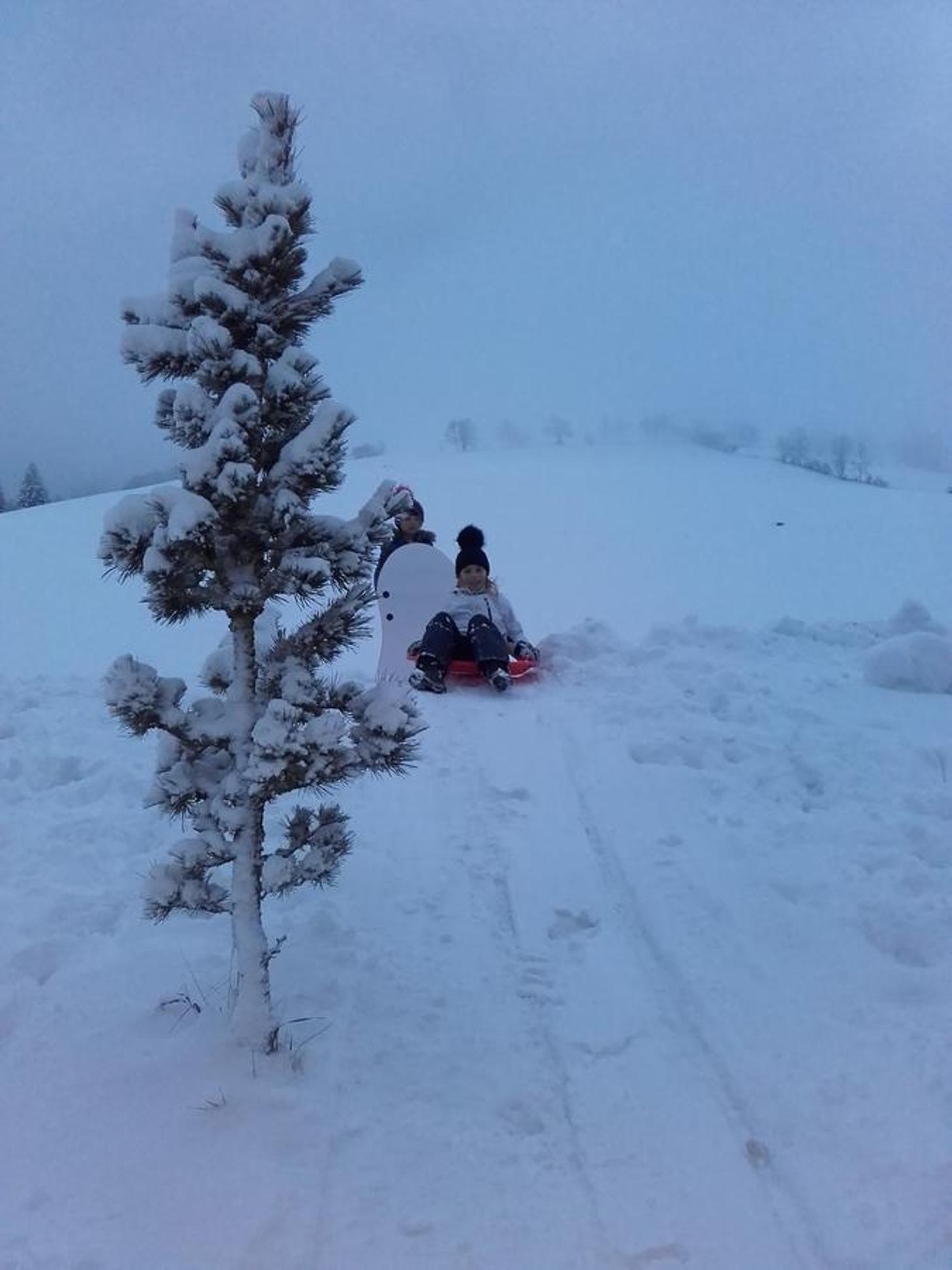 Photo 14