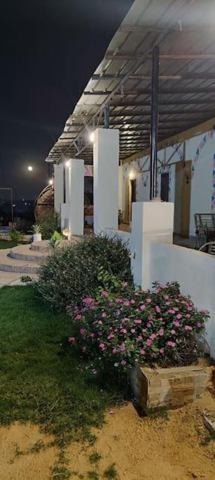 Pyramids Lodge