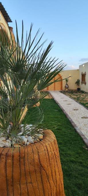 Pyramids Lodge
