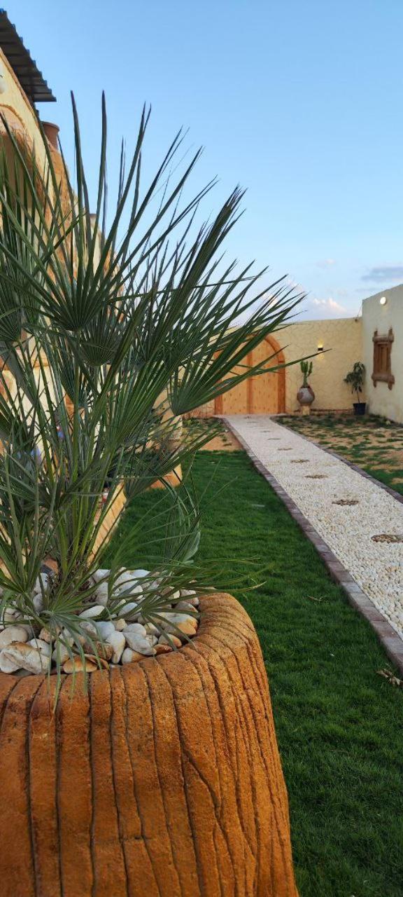 Pyramids Lodge