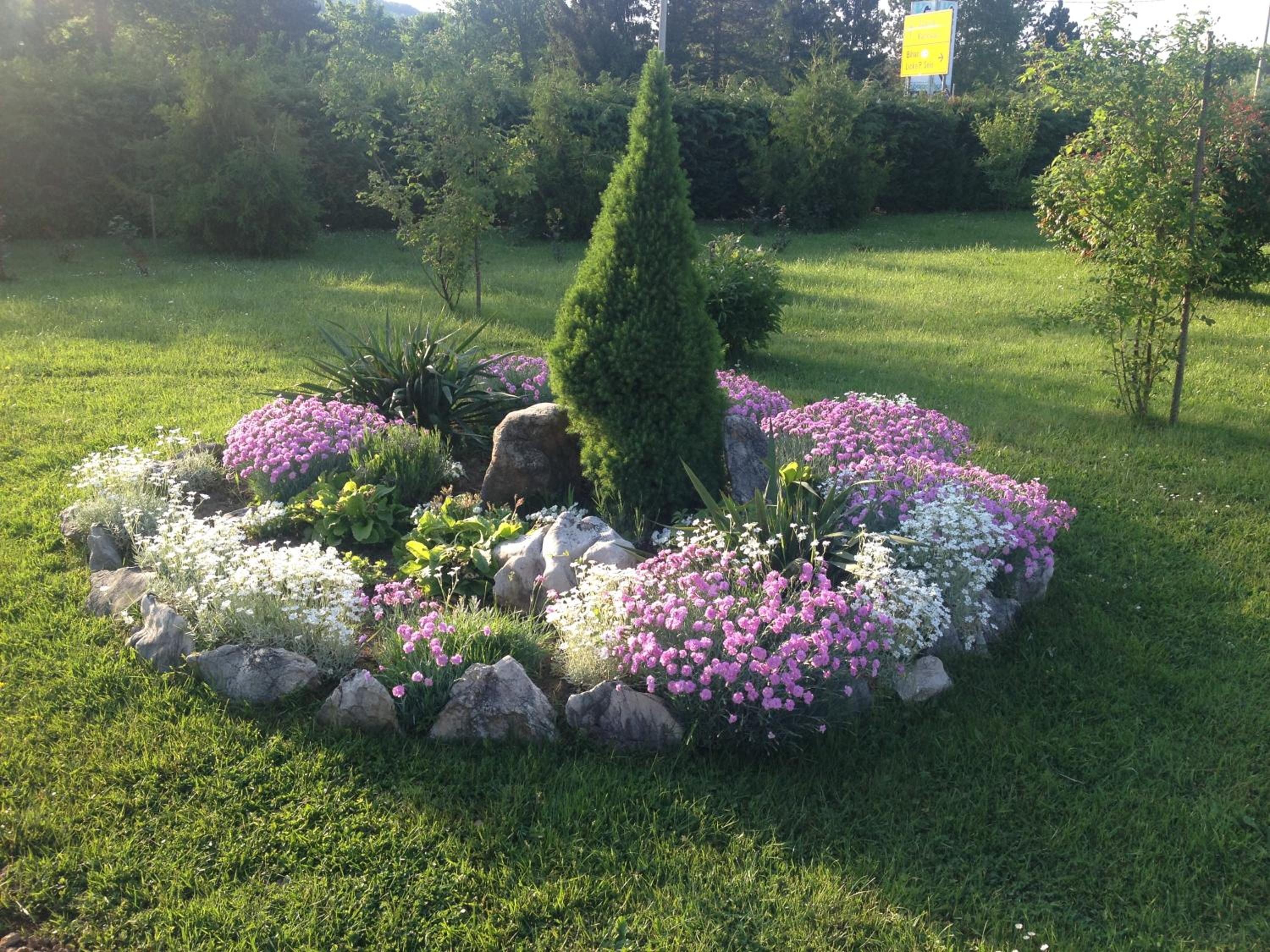 Photo 56