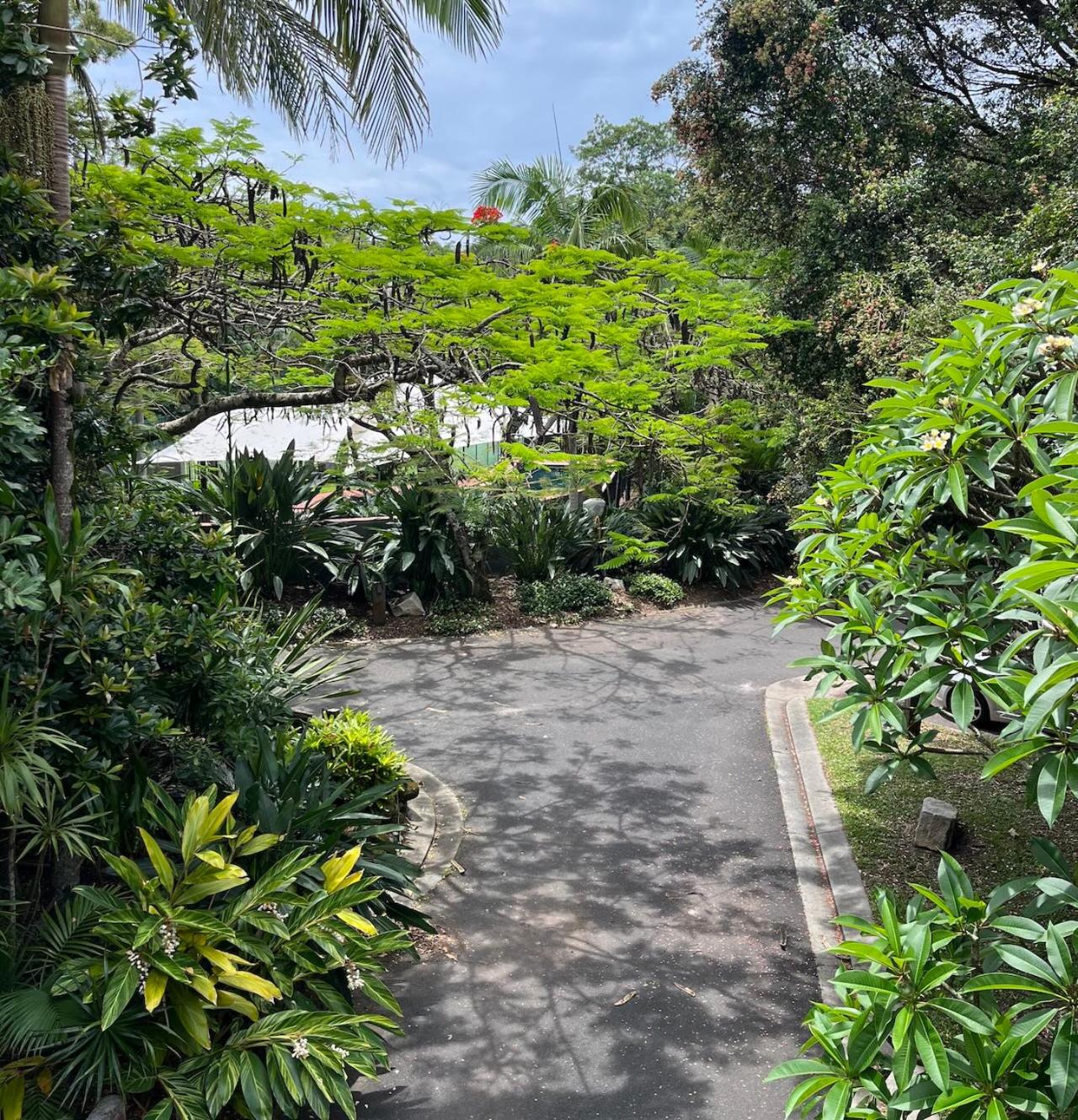 Chiru - Byron Bay