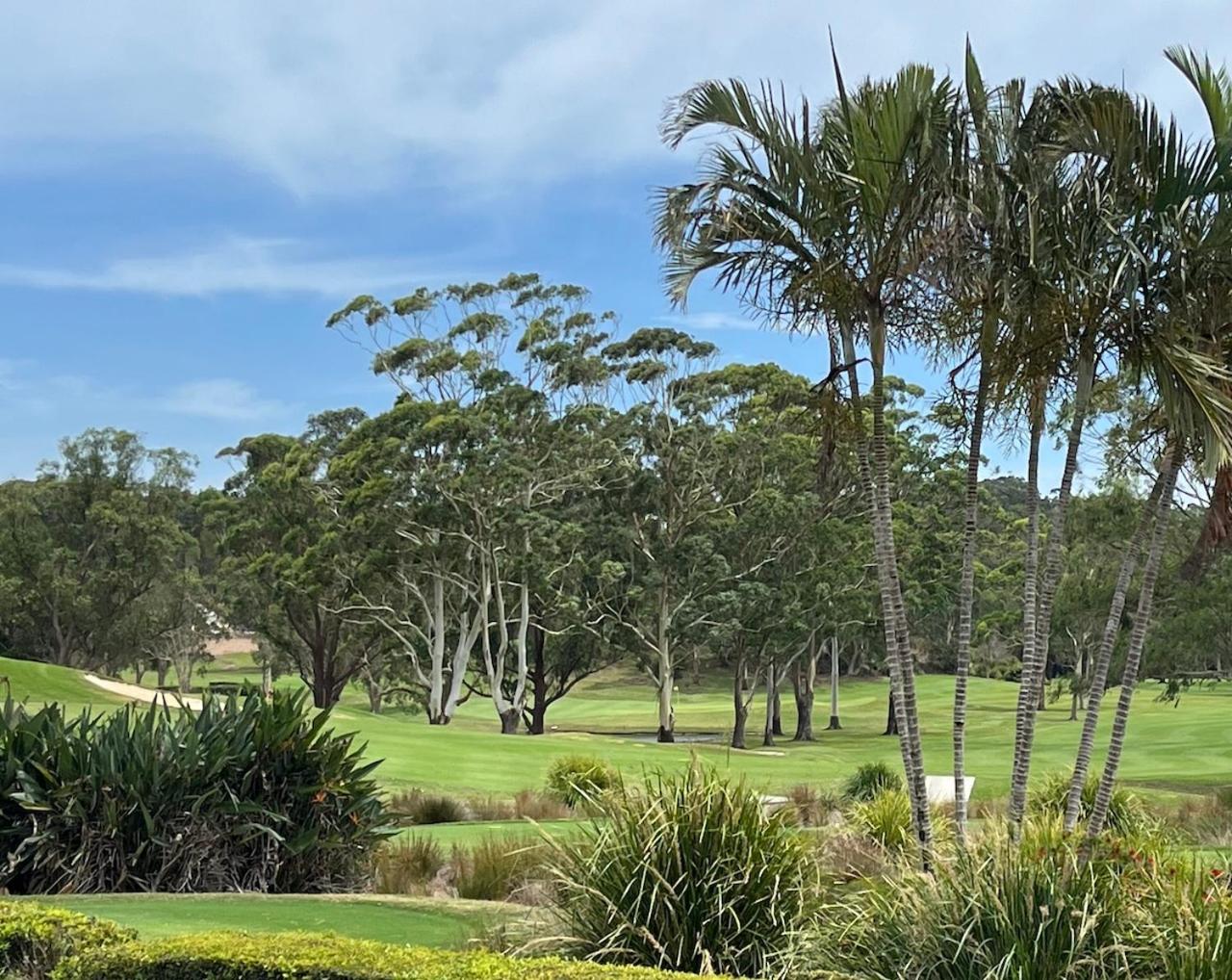 Chiru - Byron Bay