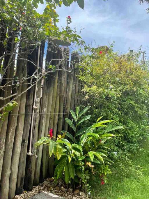Casa Meaipe! Casa arejada e confortável com jardim