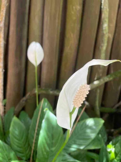 Casa Meaipe! Casa arejada e confortável com jardim