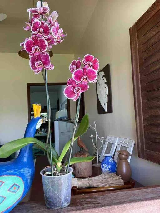 Casa Meaipe! Casa arejada e confortável com jardim