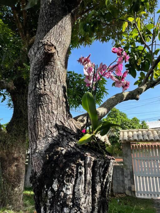 Casa Meaipe! Casa arejada e confortável com jardim