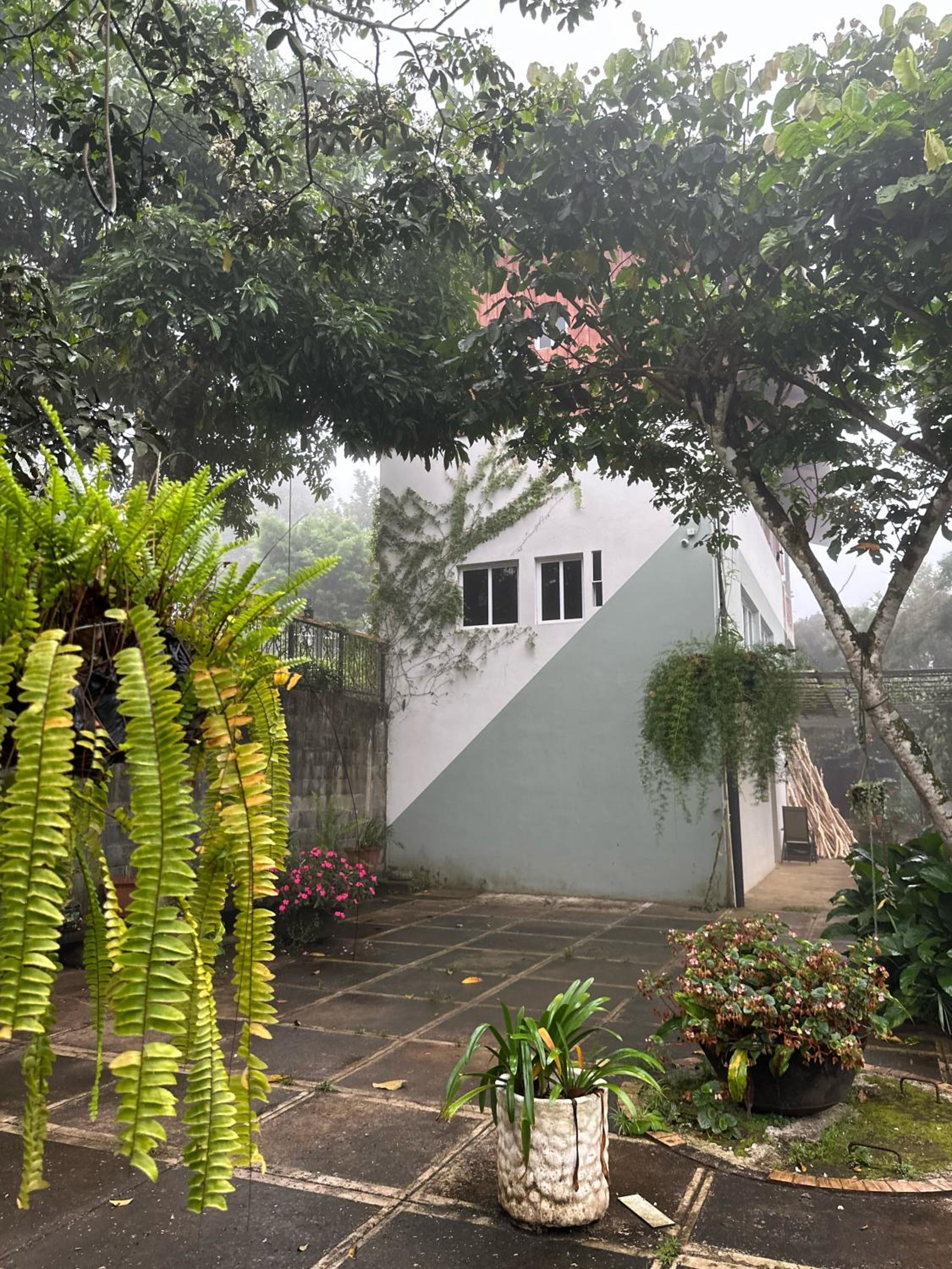 La Villa de los Alas - Boutique view 4