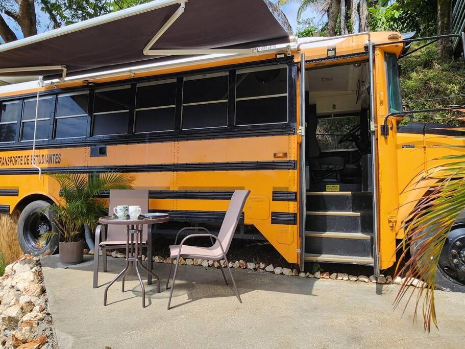 Schoolbus insolite avec vue océan et jungle