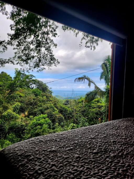 Schoolbus insolite avec vue océan et jungle