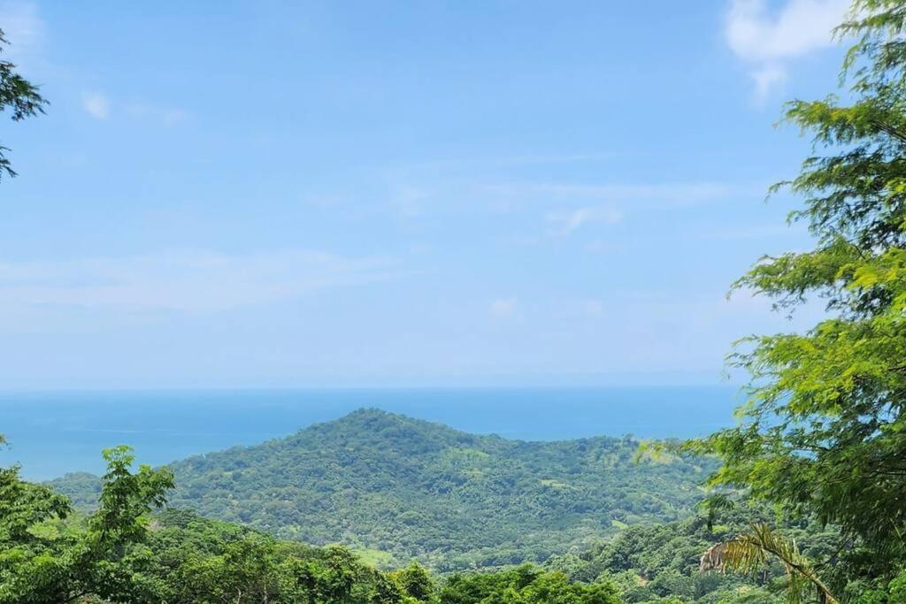 Schoolbus insolite avec vue océan et jungle