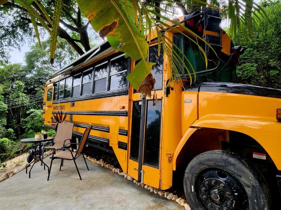 Schoolbus insolite avec vue océan et jungle