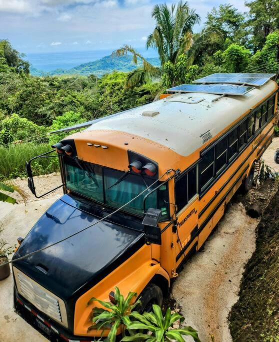 Schoolbus insolite avec vue océan et jungle