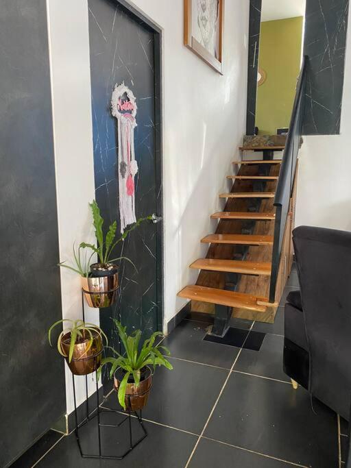 Casa Confort Bonanza