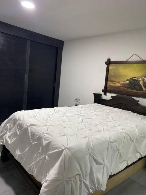 Casa Confort Bonanza