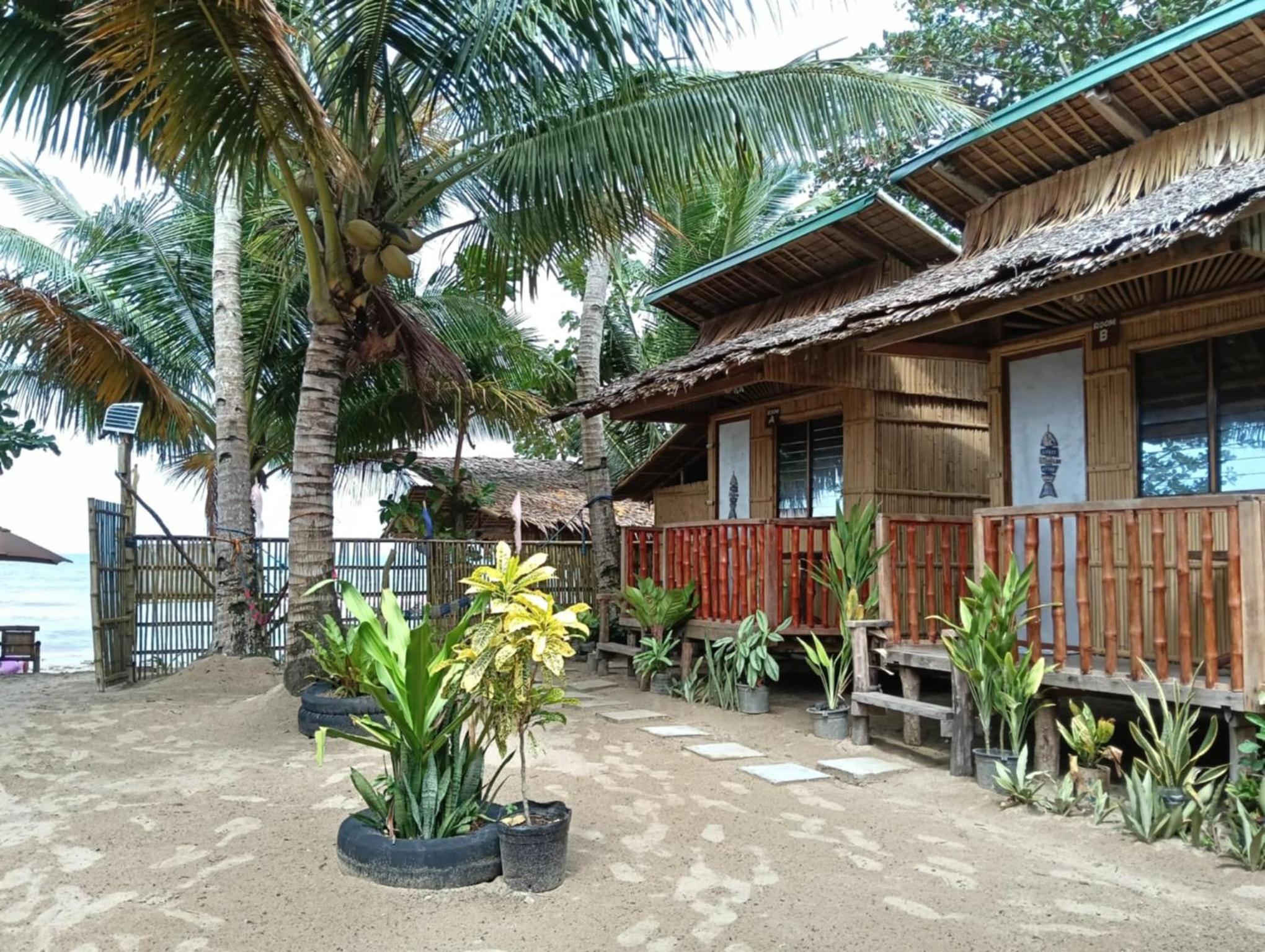 Photo 11