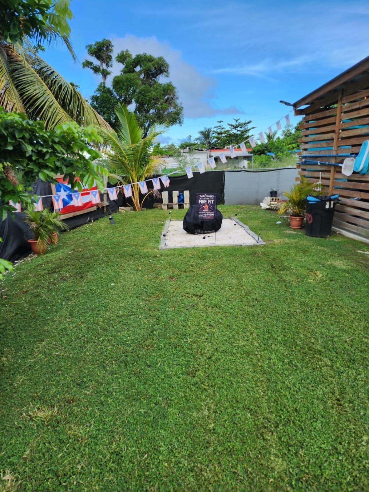 Photo 7